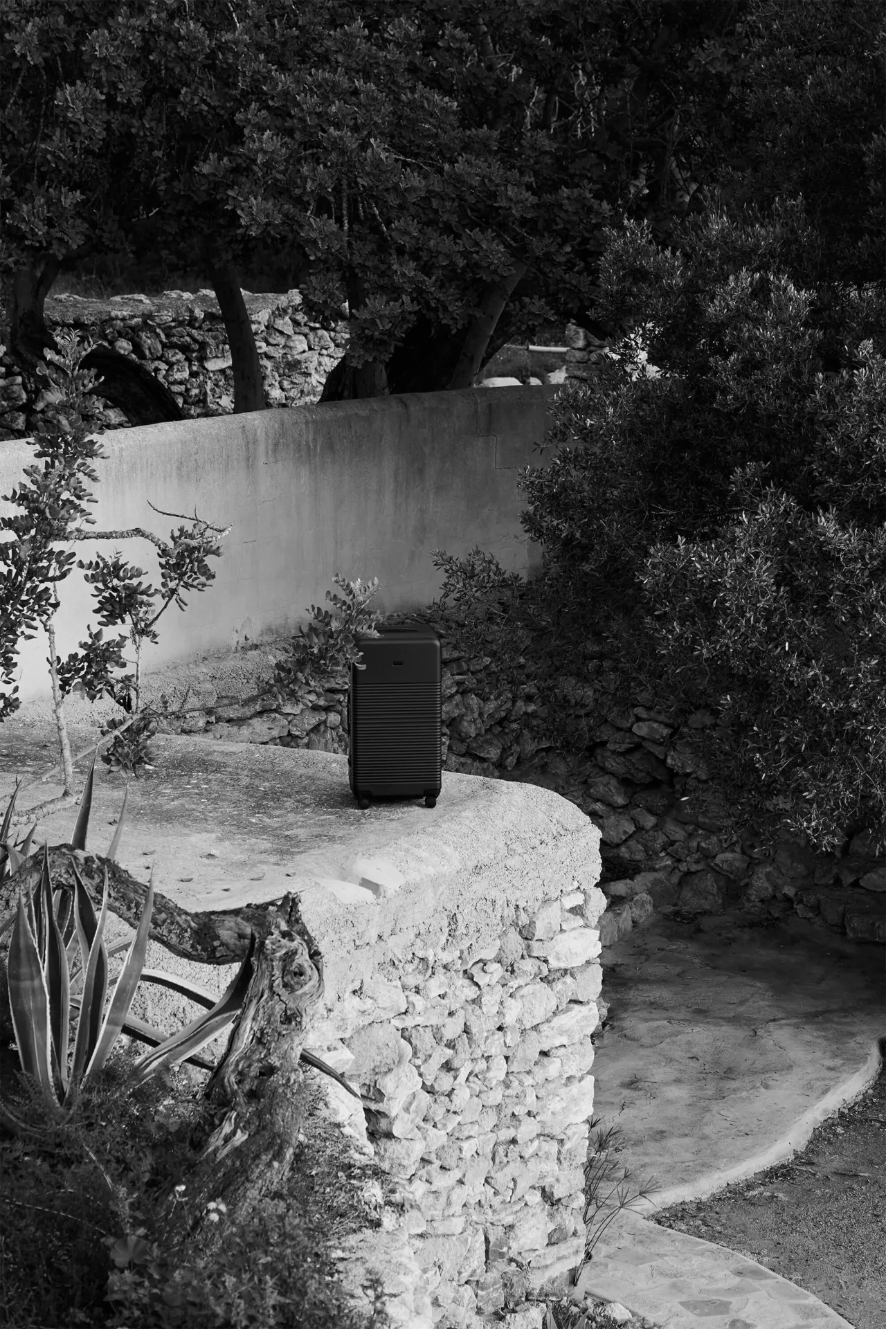 NORTVI TRUNK IBIZA MARCELBOER 25 007